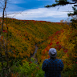 Meet your Posher, Billy